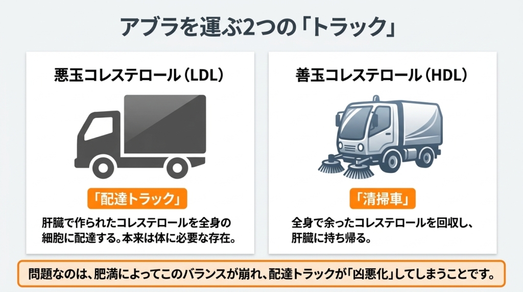 悪玉コレステロール（配達トラック）と善玉コレステロール（清掃車）の役割