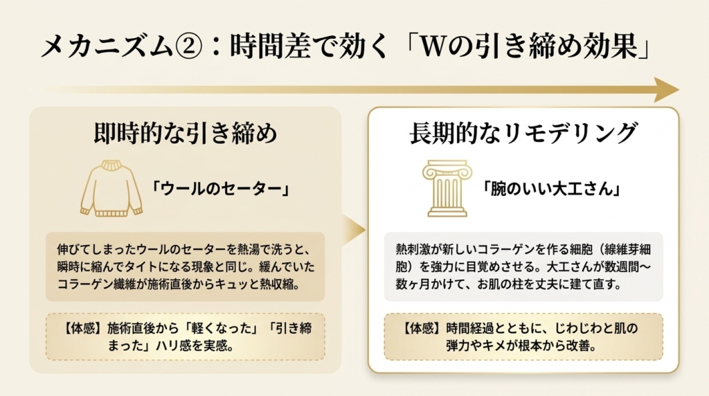 ウールのセーターと腕のいい大工さんによるWの引き締め効果