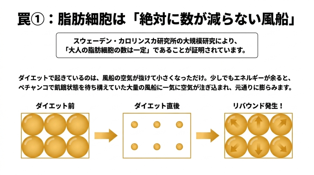 自己流ダイエットでは脂肪細胞の数は減らず小さくなるだけ