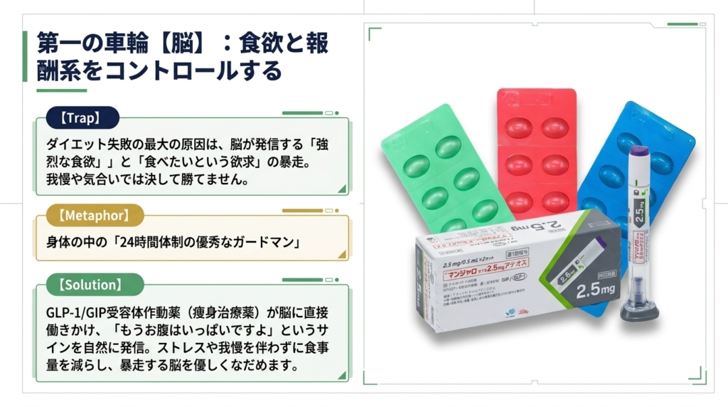 GLP-1受容体作動薬による食欲コントロール