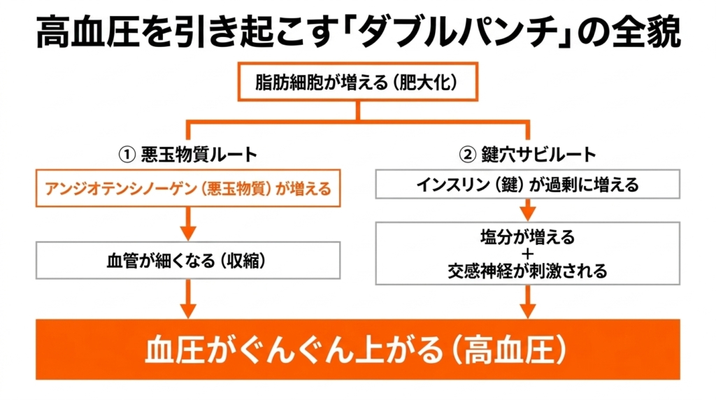 悪玉物質ルートと鍵穴サビルートの高血圧ダブルパンチ