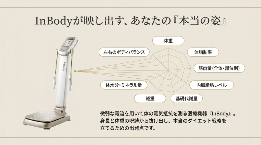 TODOKU CLINICではInBodyによる正確な体組成分析を初回カウンセリングで実施しています。