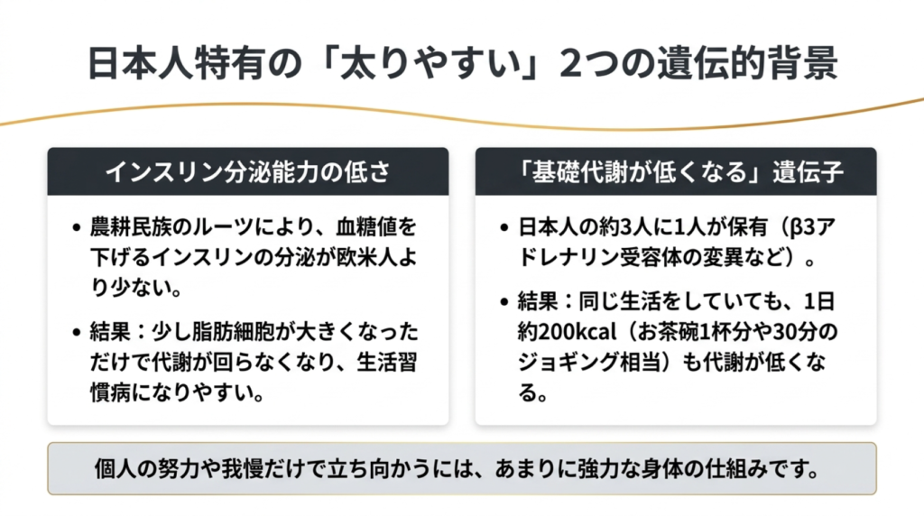 日本人特有の太りやすい2つの遺伝的背景