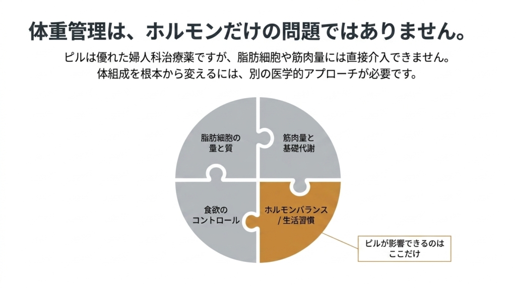体重管理はホルモンだけの問題ではない──脂肪細胞・筋肉量・食欲・ホルモンバランス4つのうち、ピルが影響できるのは1つだけ