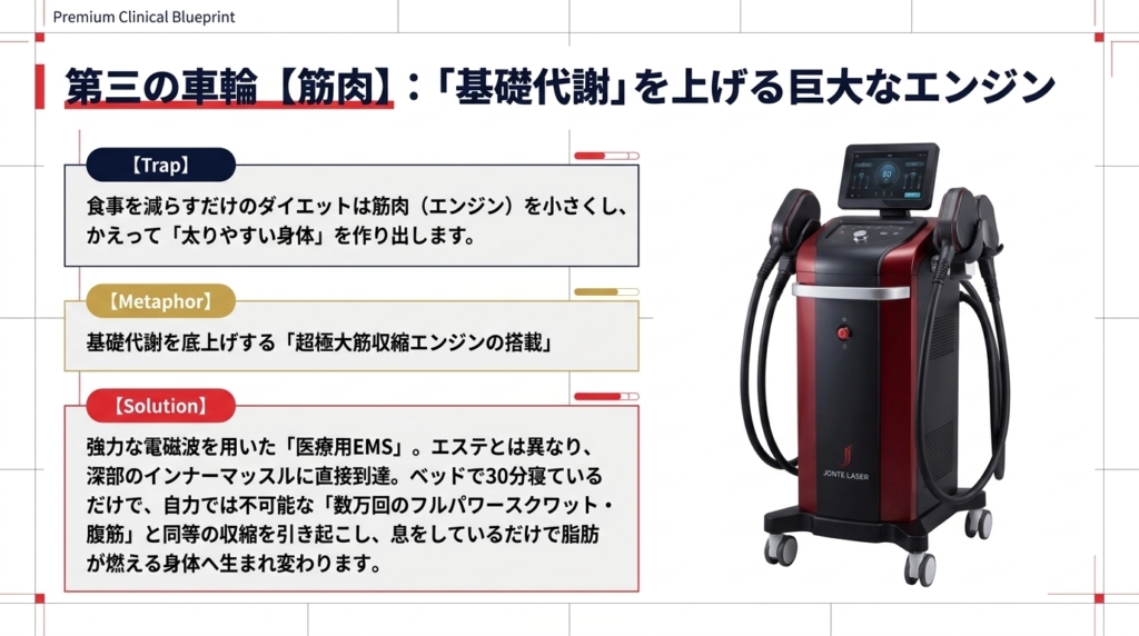 医療用EMSによる基礎代謝向上とインナーマッスル強化