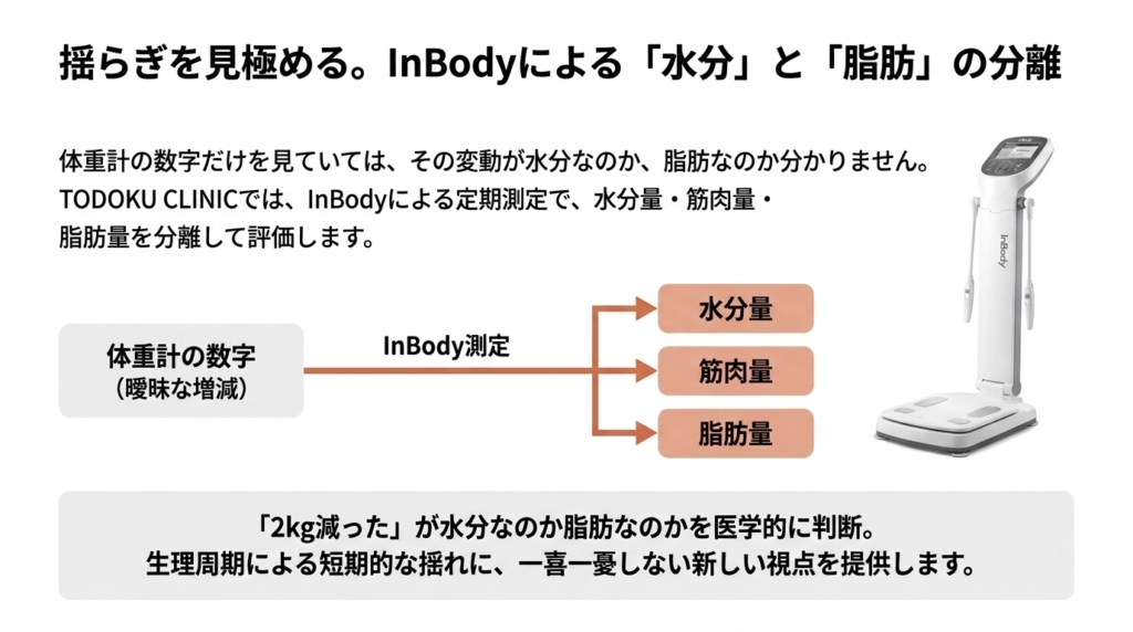 揺らぎを見極めるInBody測定──体重計の数字を水分量・筋肉量・脂肪量に分離して可視化(TODOKU CLINIC 銀座)