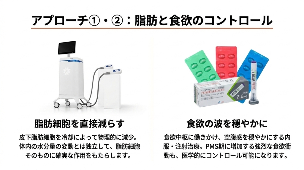 アプローチ①②脂肪と食欲のコントロール──クールスカルプティング(脂肪細胞冷却)とGLP-1受容体作動薬(食欲制御)でPMS期の食欲衝動を医学的にコントロール