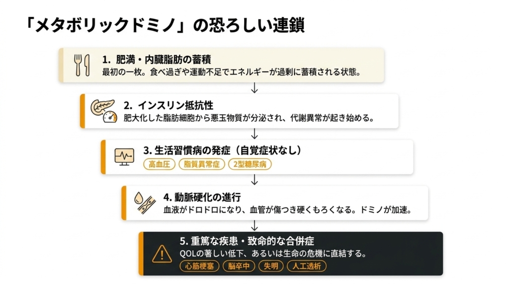 脂肪細胞の異常から始まるメタボリックドミノの連鎖