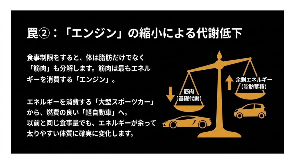 筋肉の減少によりエネルギーを消費しないエコカーへ転落するメカニズム