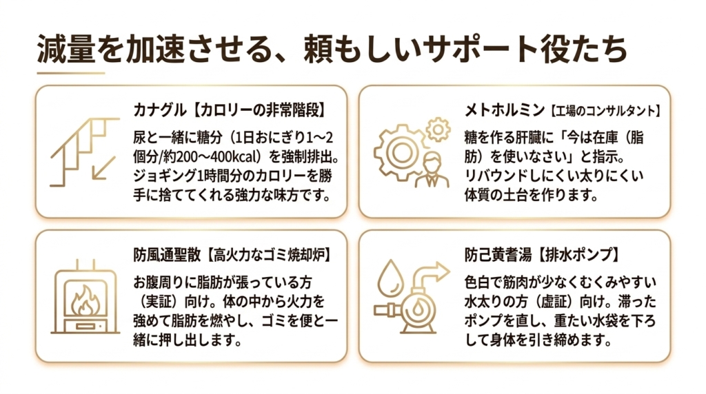 減量を加速させるサポート薬のイメージ