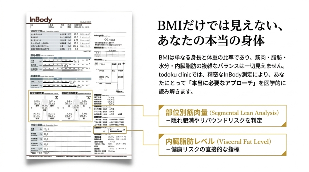 InBody測定による部位別筋肉量と内臓脂肪レベルの可視化──BMIだけでは見えない身体