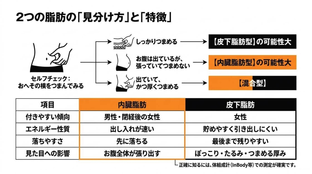内臓脂肪と皮下脂肪の見分け方。おへその横をつまむセルフチェックで、つまめれば皮下脂肪型、張ってつまめなければ内臓脂肪型の可能性