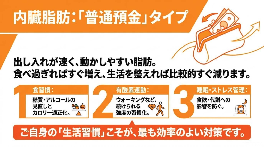 内臓脂肪は普通預金タイプ。出し入れが速く、食習慣・有酸素運動・睡眠とストレス管理の3つの生活習慣が最も効率のよい対策