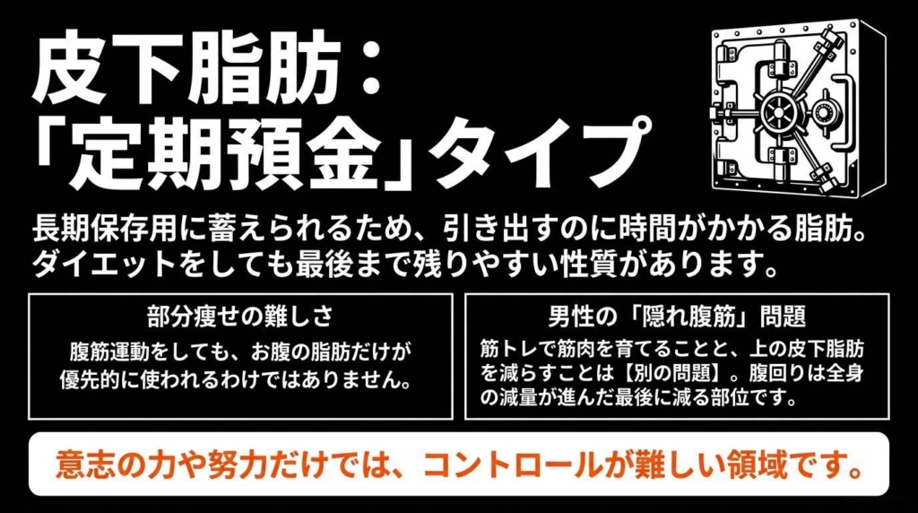 皮下脂肪は定期預金タイプ。長期保存用に蓄えられ、ダイエットをしても最後まで残りやすい。部分痩せの難しさと男性の隠れ腹筋問題