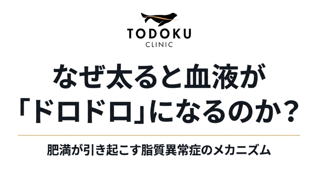 なぜ太ると血液がドロドロになるのか？〜脂質異常症と「超悪玉」の誕生〜