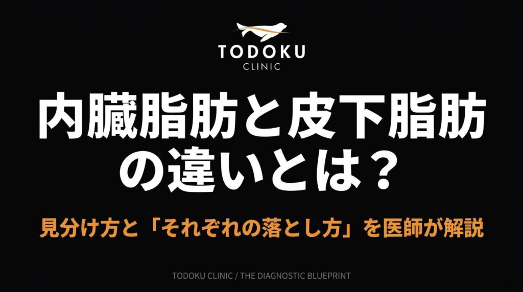 内臓脂肪と皮下脂肪の違いとは？見分け方と「それぞれの落とし方」を医師が解説